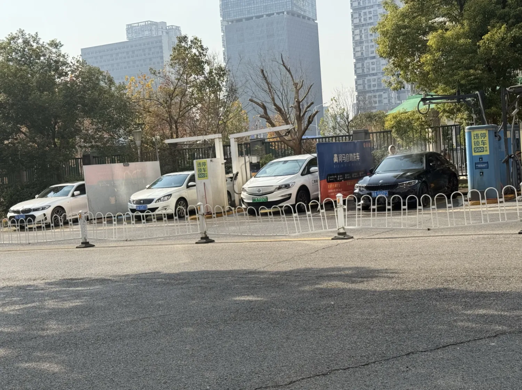 2024-12-18：腹肌轮还能再来一组-娃弟的人生纪实论坛-生活分类-娃与娃