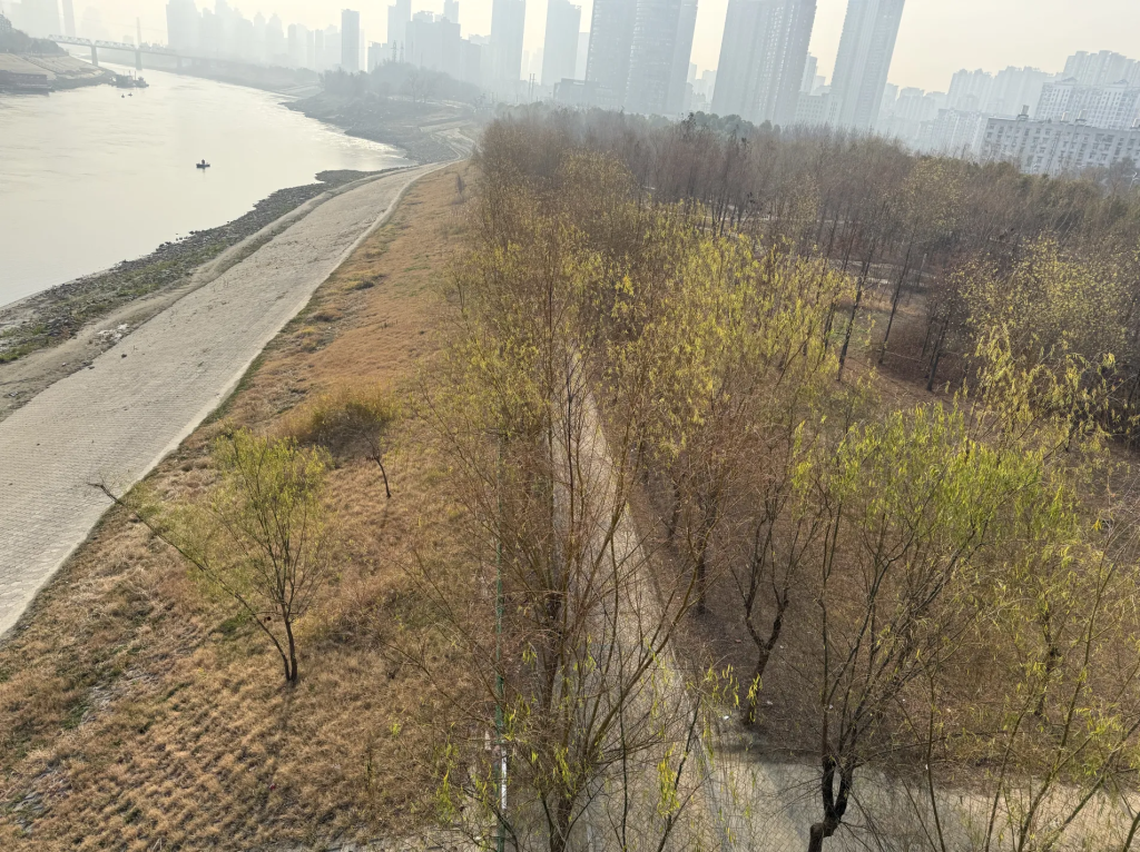 20250218-周二-经典的一天-娃哥的人生小记论坛-生活分类-娃与娃