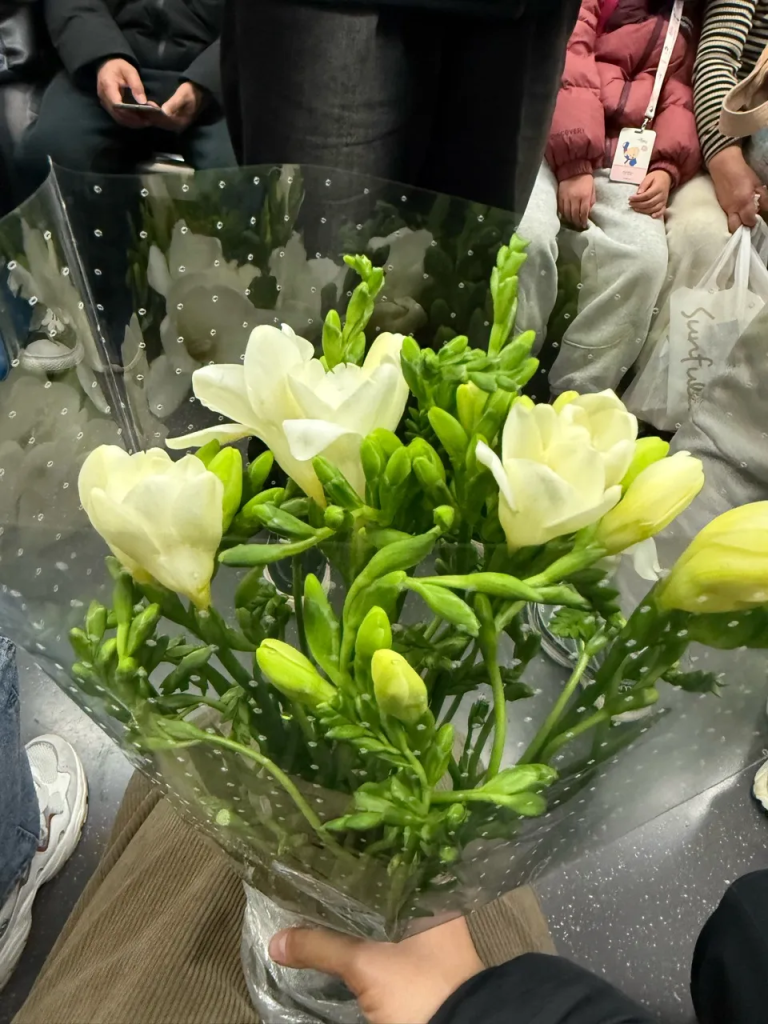 2025-02-23：外出的周末，阳光又快乐-娃弟的人生纪实论坛-生活分类-娃与娃